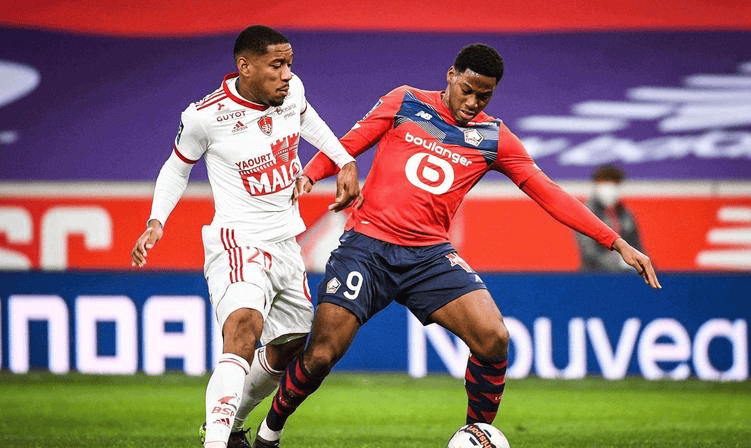 重要因素 重要因素